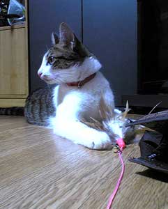 08061801.jpg