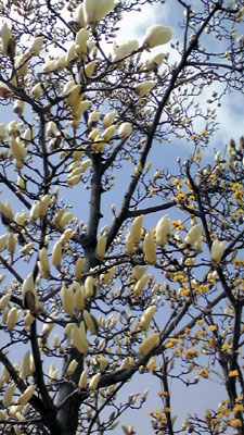 09031801.jpg
